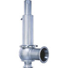 Type 488 With High Capacities Spring Loaded Clean Service Safety Valve
