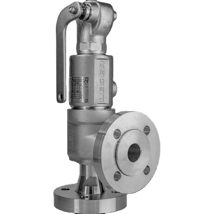 Compact Performance Type 462 Spring Loaded Pressure Safety Valve
