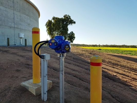 MX de Limitorque - MX 100 - 85 MX - trabajo eléctrico del actuador de QX con la válvula de Flowserve