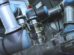 Robot de soldadura colaborativo de UR para el alcance del brazo de 850m m con el agarrador del robot de Robotiq