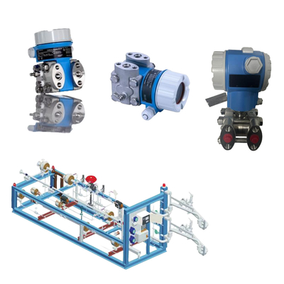 El equipo de montaje chino Skid- Endress + Hauser Transmisor de presión diferencial Deltabar PMD55
