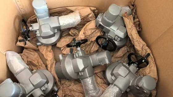 Valvas eléctricas con AUMA SQ10.2 y conexión de válvula F10 F12 Auma SQ SQR Actuador eléctrico de giro parcial SQ10.2 SQ07.2 SQ12.2 SQ14.2 SQ05.2 Para servicio abierto y cerrado