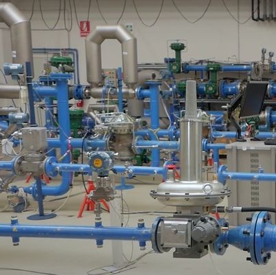 Emerson Fisher LS200 Regulador de presión automático de gas natural industrial