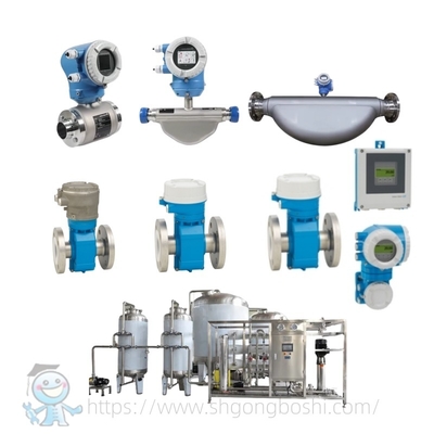 Caudalímetro sanitario E+H Proline Promag P 300 P 500 Endress Hauser Medidor de flujo electromagnético de grado alimenticio