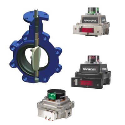 Posicionador de válvula a prueba de explosión TopWorx TXP-M21GNMM NAMUR para eje