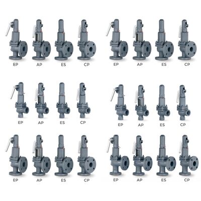 VYC válvula industrial AIT 485 486 494 495 496 596 696 válvula de alivio de presión válvula de seguridad de apertura completa con resorte de compresión