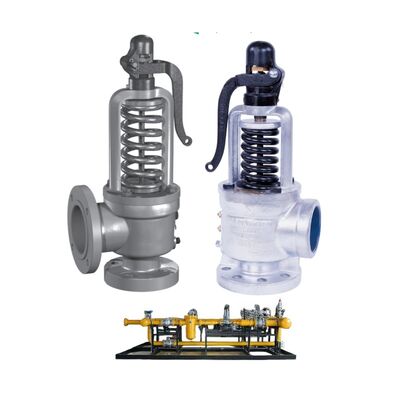 High Capacity Consolidated 1811 1511 Series API Industrial Pressure Cooker Safety Relief Valves for Power Generation Paper