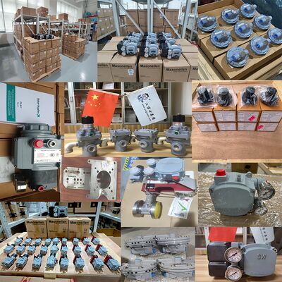 Válvula de control neumático china con SVI1000G SVI1000 PR G IM Masoneilan Valve Positioner SVY y regulador Asco para GLP