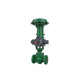 Fisher Y válvula de control neumático de EZ EWT con el regulador de válvula de DVC6200 DVC2000 Digitaces y 67CFR 67DFR filtran el regulador