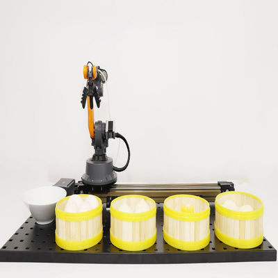 Mini inteligencia artificial del robot industrial de WLkata 6 AXIS para la educación