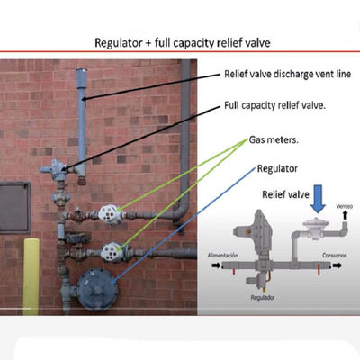 Sistema montado resbalón modular de la herramienta eléctrica de la solución del dispositivo del gas del GASERO de Fisher de la resbalón del gas de la válvula de descarga de EZR o del regulador de presión trasera