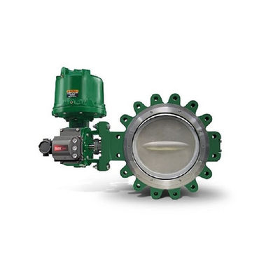 Fisher 3620J con el posicionador electroneumático de efecto simple de los actuadores rotatorios