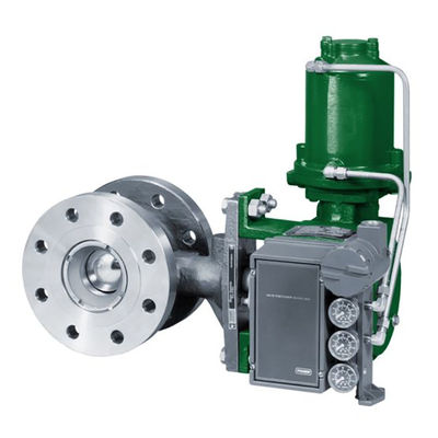 Fisher 3620JP con el posicionador electroneumático de efecto simple de los actuadores rotatorios
