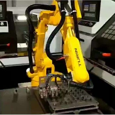 Robot que empalieta de AXIS del brazo robótico programable 6 del robot ATOM-10KG-1378mm de China