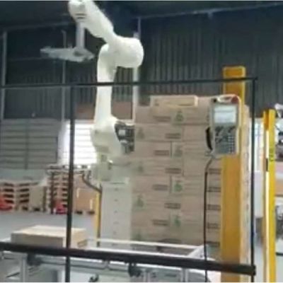 Brazo robótico industrial de 6 ejes Kawasaki RS050N con riel de guía CNGBS para el robot de manipulación de paletas