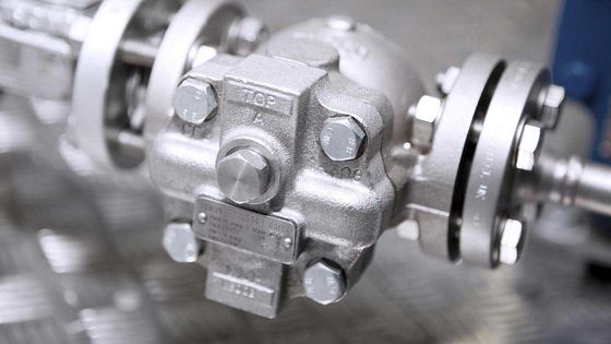 El flotador de Spirax Sarco y el vapor termostático atrapan FT14 65-200 psig