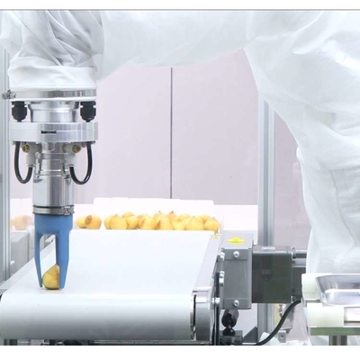 Brazo robótico industrial pequeño de 6 ejes VS-050/060 con agarre robótico CNGBS como robot universal